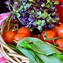 Image result for Farmers Market Ideas to Sell