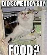 Image result for People Eating Cat Food Meme