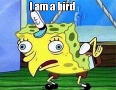 Image result for Spongebob Bird Meme