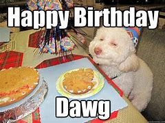 Image result for Happy Birthday Big Dawg Meme