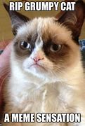 Image result for Rip Grumpy Cat