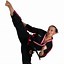 Image result for Female Martial Arts Masters