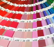 Image result for Pantone 196C