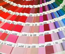 Image result for Pantone Matching System Color Chart