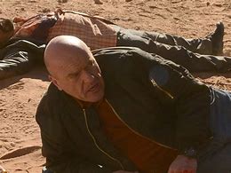 Image result for Hank Recuperating Breaking Bad