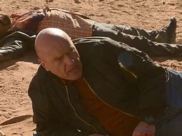 Image result for Breaking Bad Tactical Hank
