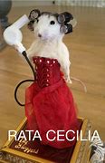 Image result for Dancing Rat Meme