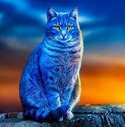 Image result for Cat 5030