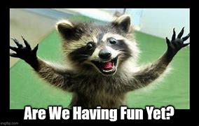 Image result for Have Fun Funny