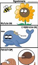 Image result for Different Types of Humor