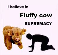 Image result for Rock Face Cow Meme