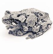 Image result for Galaxy Frog