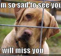 Image result for So Sad to See You Go Meme