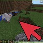 Image result for Warrior Cats Minecraft