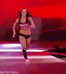 Image result for WWE Nikki Bella Stay Fearless