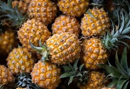 Image result for Different Types of Pineapple