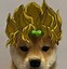Image result for iPhone 14 Dog PFP