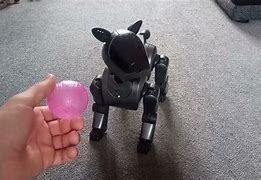 Image result for Aibo 210 Playing