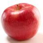 Image result for Yellow Apple Variety Chart