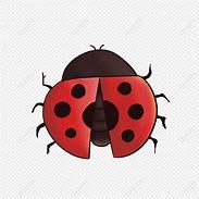 Image result for Japanese Cricket Insect Cartoon