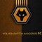Image result for Wolverhampton Wanderers Logo
