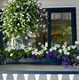 Image result for Window with Garden View