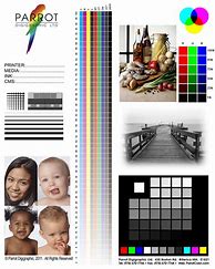 Image result for Black and White Printer Test Print