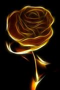 Image result for Black and Gold Roses