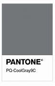 Image result for Cool Gray 9C Pantone