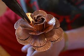 Image result for Copper Rose Plans