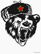 Image result for Comrade Bear