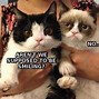 Image result for Grumpy Cat Math Meme