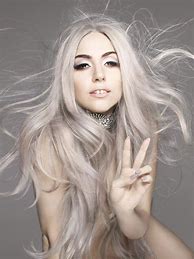 Image result for Lady Gaga Silver Hair