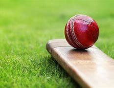 Image result for Cricket Photography