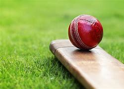 Image result for Crickets Online Order