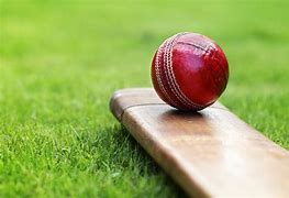 Image result for Copyright Free Cricket