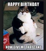 Image result for Funny Cat Birthday Cake