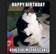 Image result for Funny Sarcastic Birthday Cat Memes