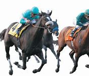 Image result for Melbourne Cup Horse Racing