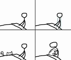 Image result for Cuh Cat Meme