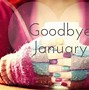 Image result for Funny Goodbye January