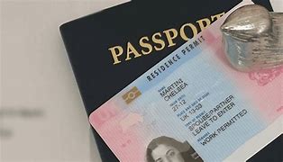 Image result for Spouse Visa South Africa