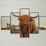 Image result for Large Cow Canvas Wall Art