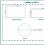 Image result for Rear Window Car Decal Size Chart