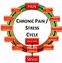 Image result for Stress Response Chart