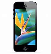 Image result for iPhone 5 Model Numbers A1532
