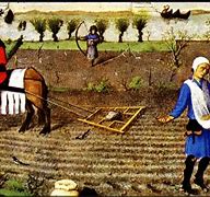 Image result for medieval agriculture method