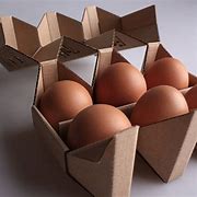 Image result for Egg Carton Packaging