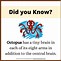 Image result for Fun Facts for Children