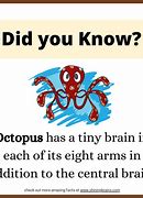 Image result for interesting fact
